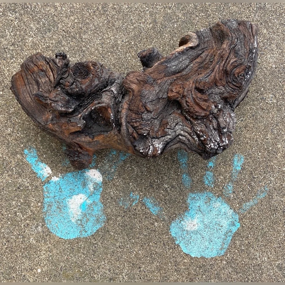 Natural Wood Decorum(4 Pieces)-Crafting, Outdoors, Live Pets, Aquarium/Terrarium